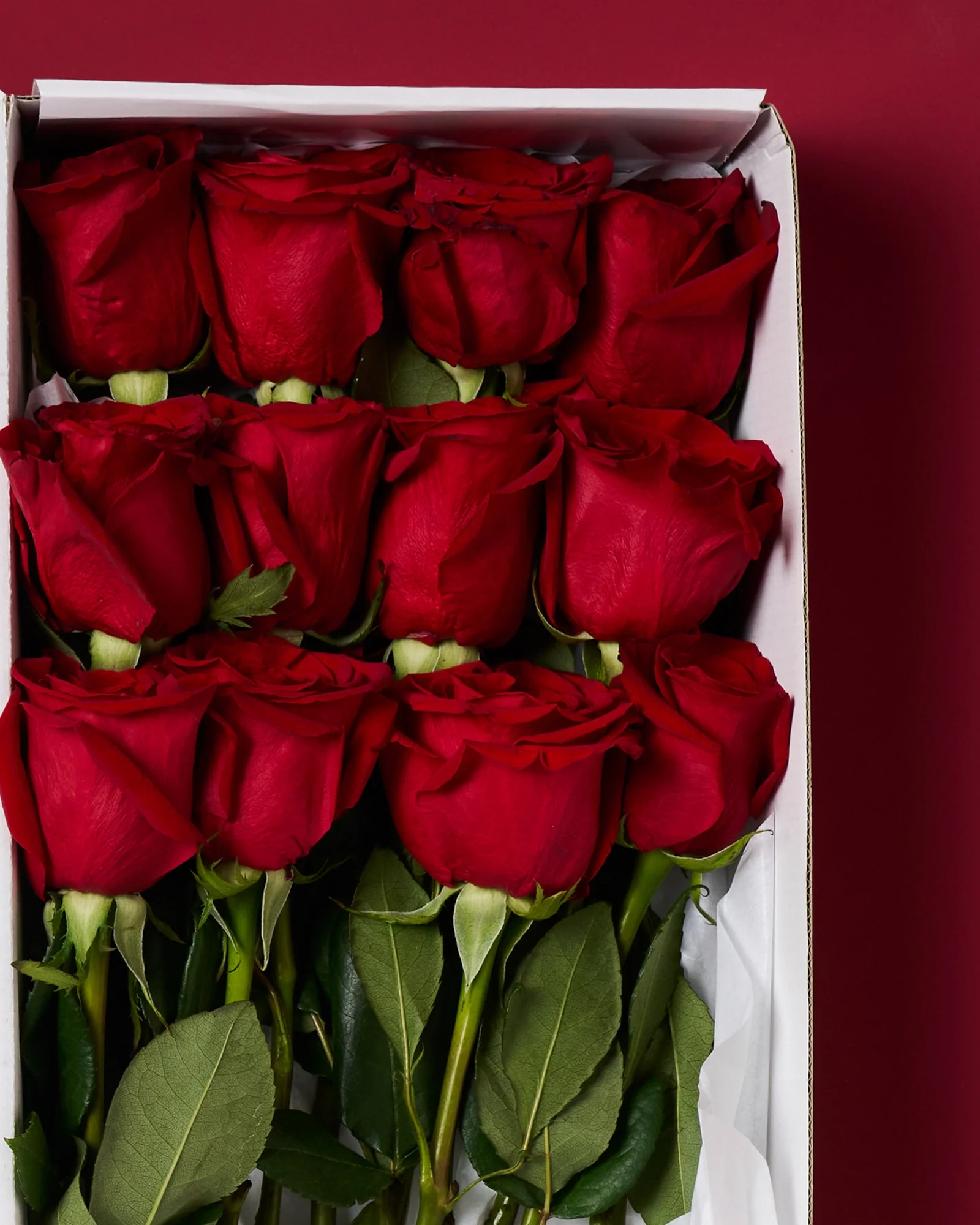 12 Long Stem Red Roses