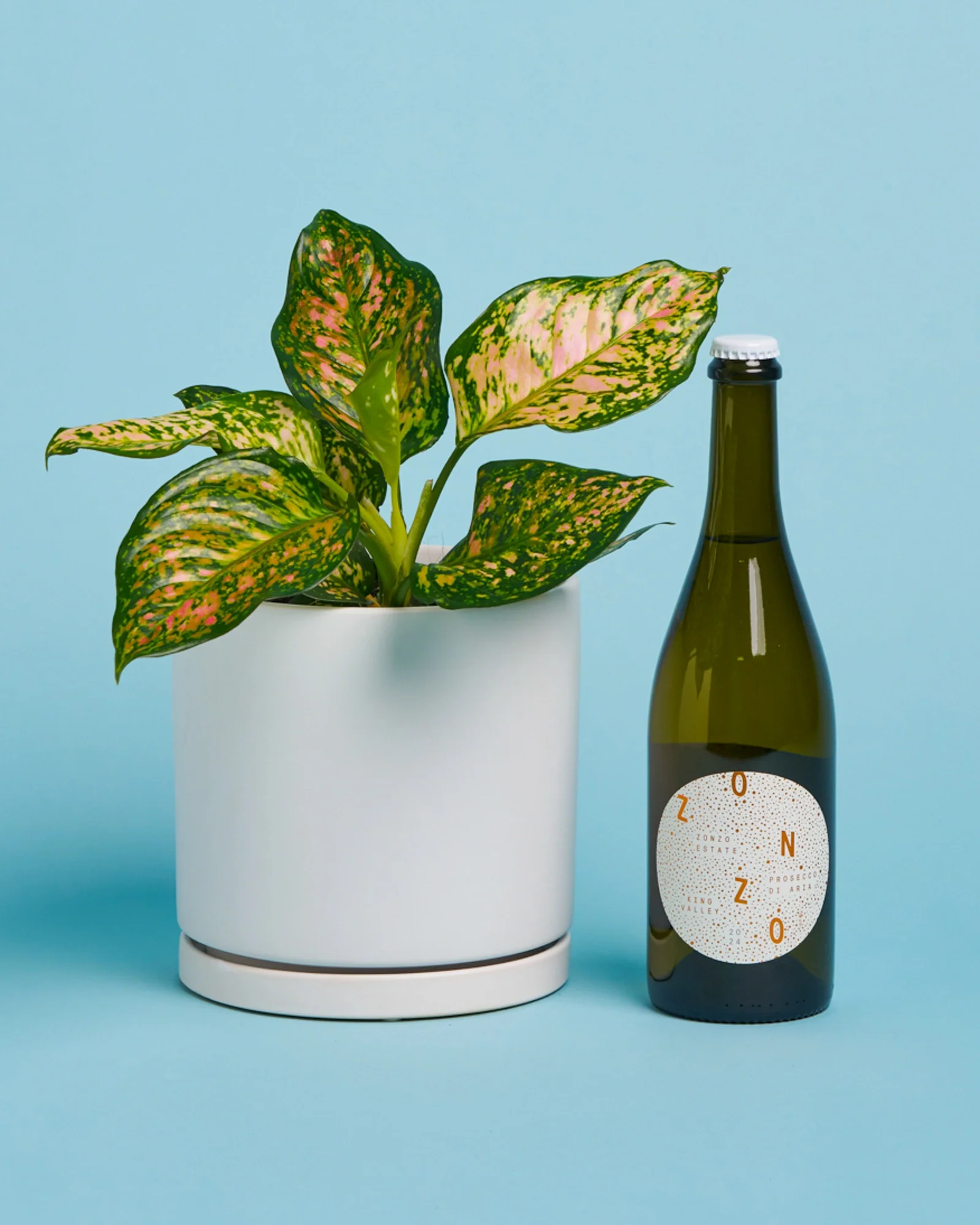 Plant + Prosecco - Image 2