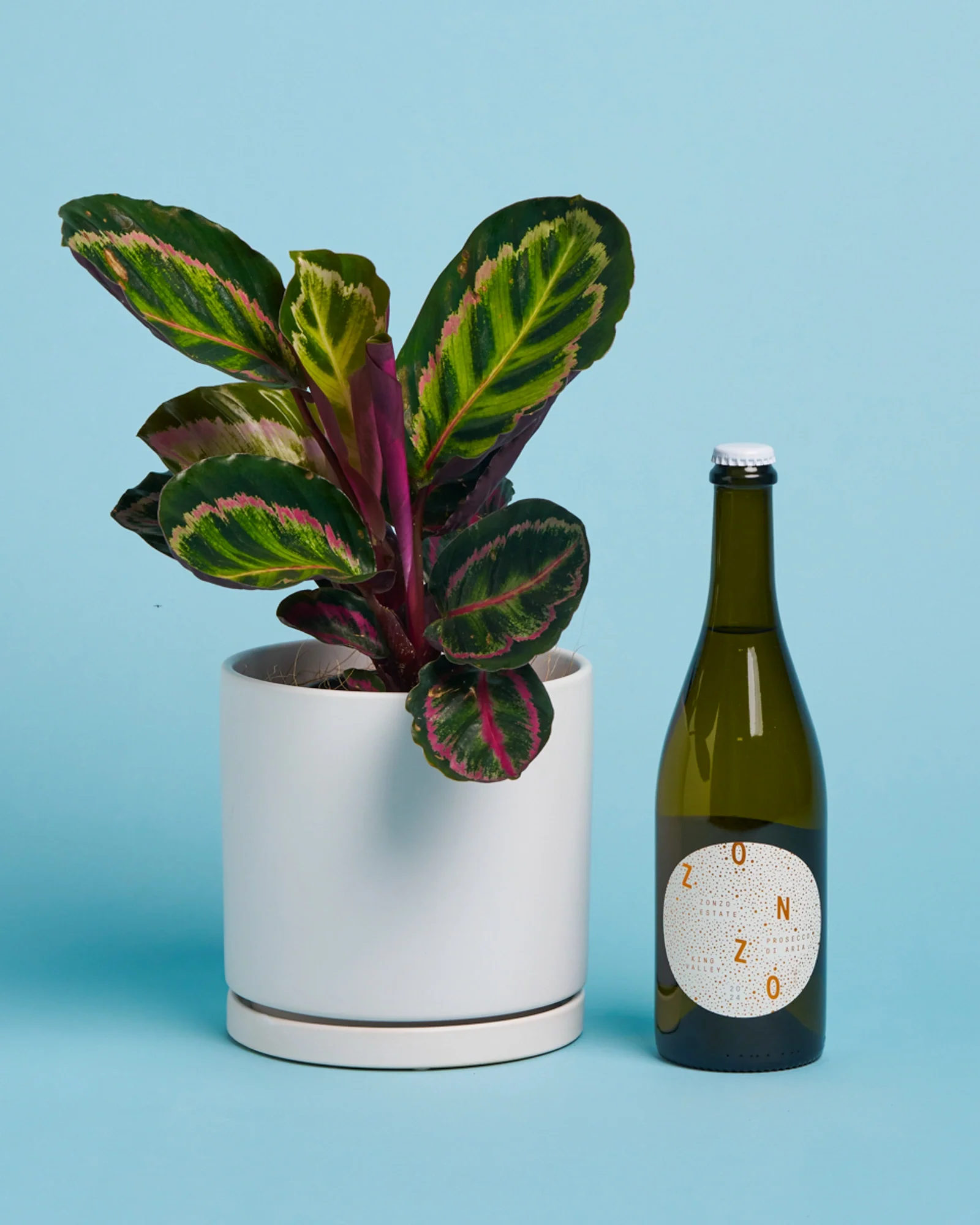 Plant + Prosecco - Image 3