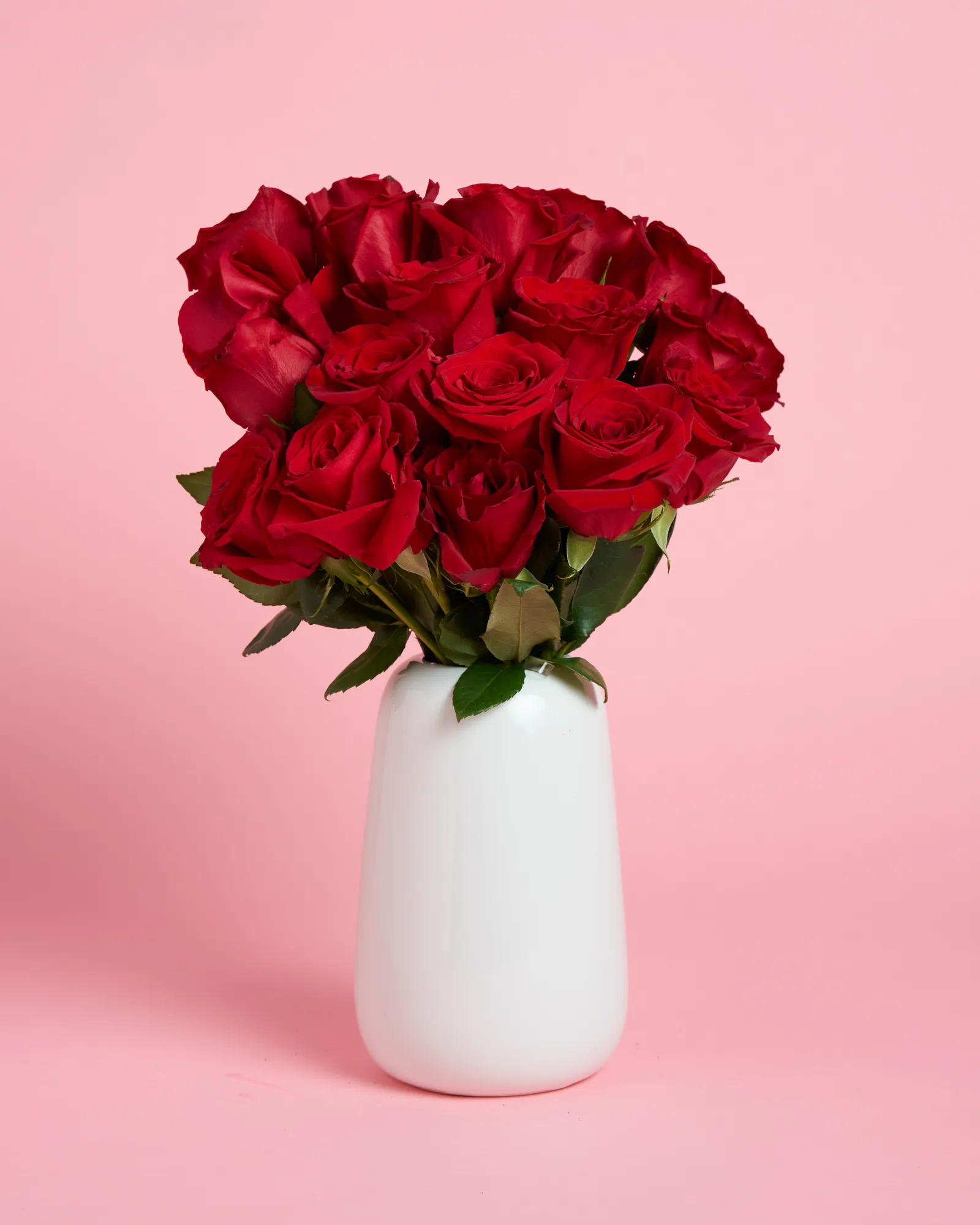 Red Roses - Image 9
