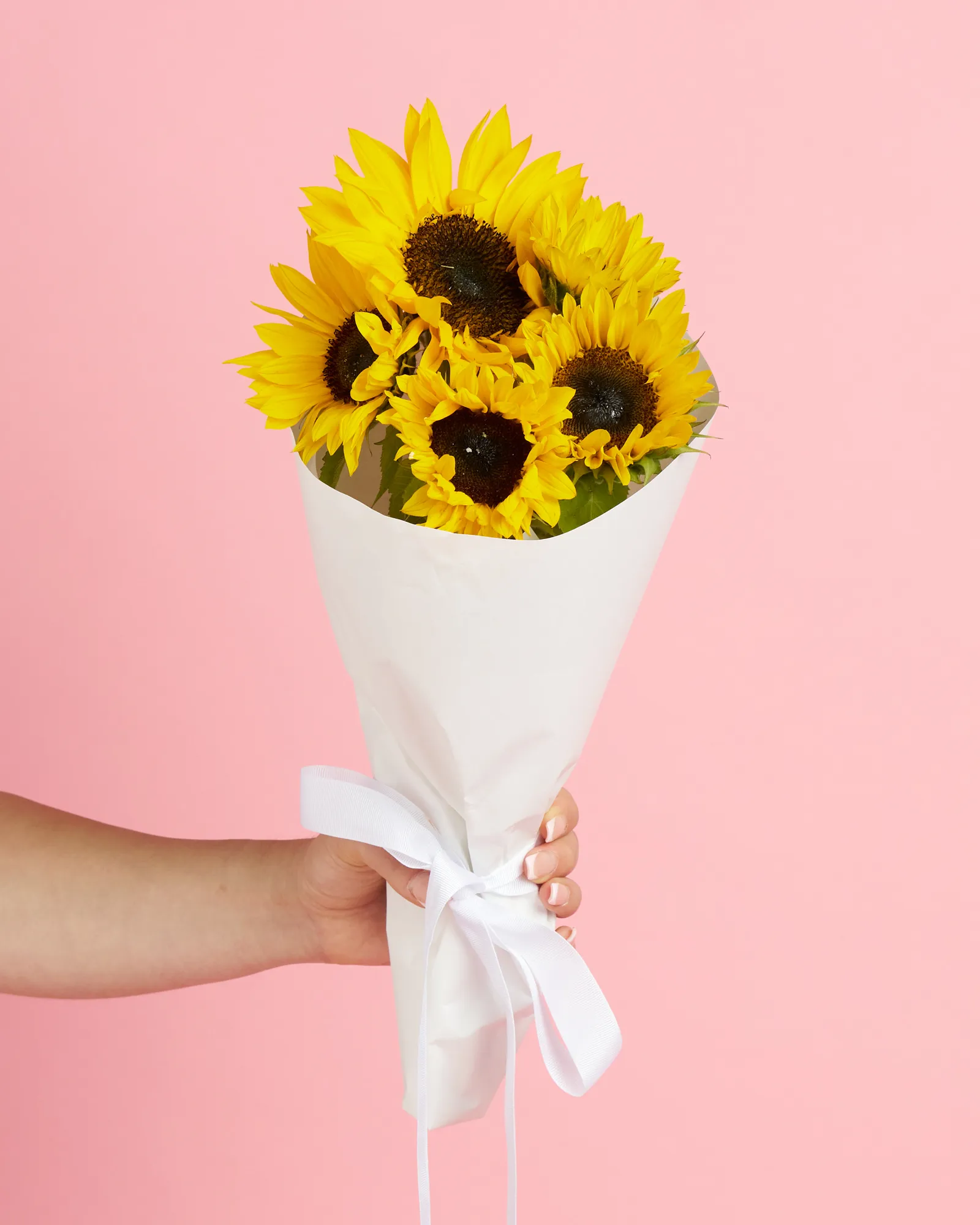 Sunflowers - Image 10