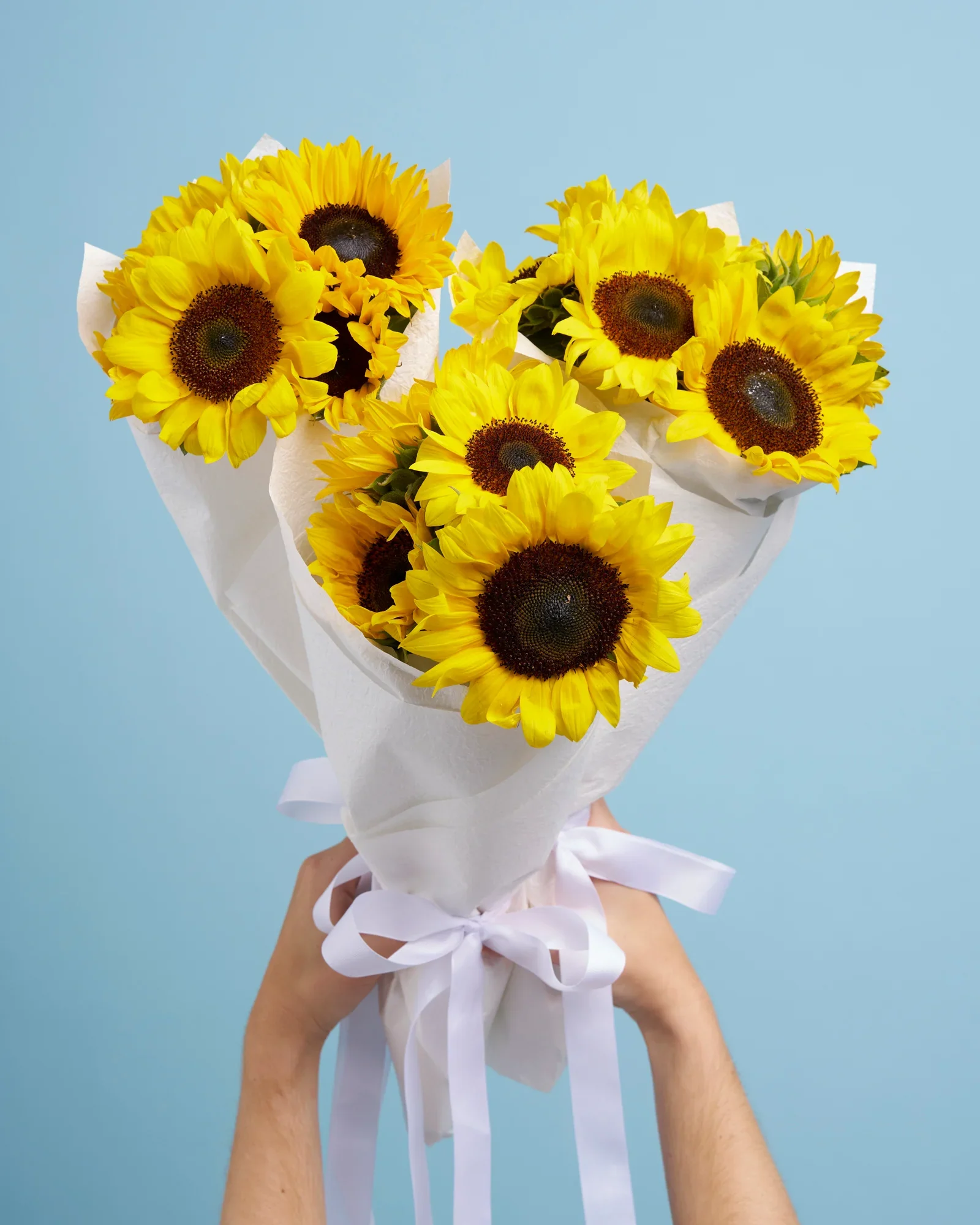Sunflowers - Image 4