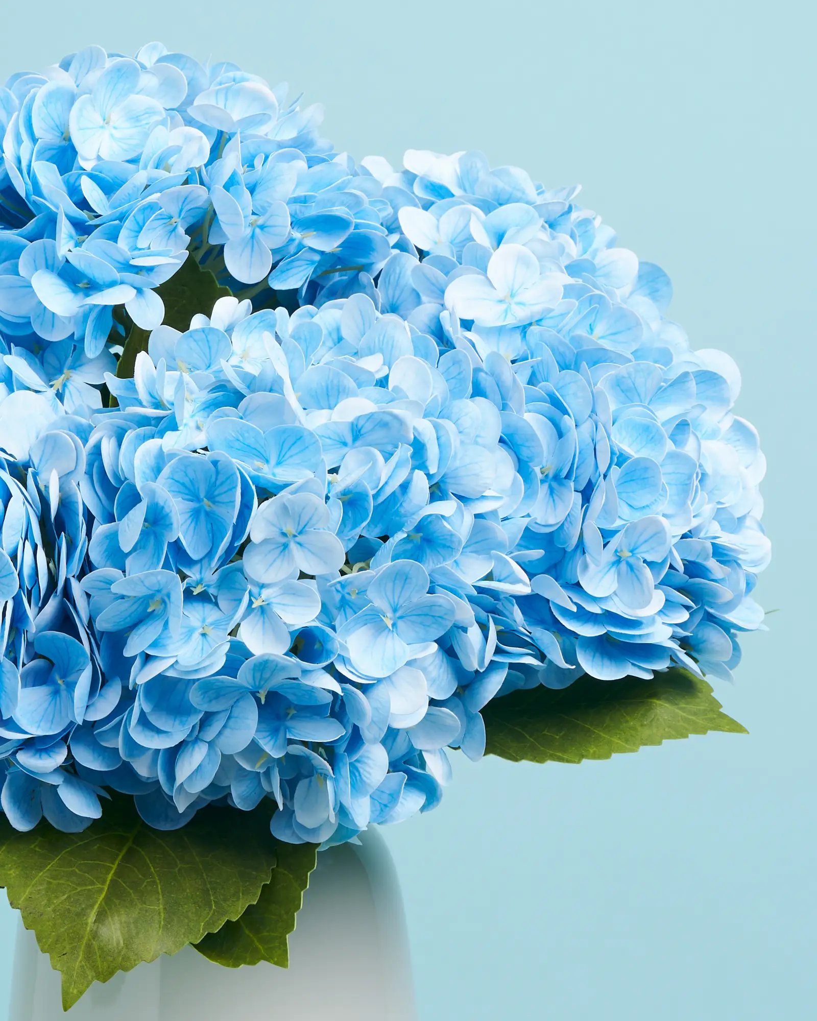 Unreal Blue Hydrangea - Image 2