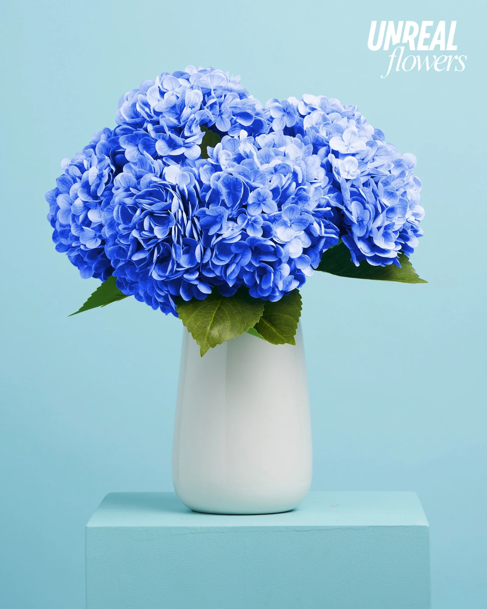 Unreal Blue Hydrangea - Image 5
