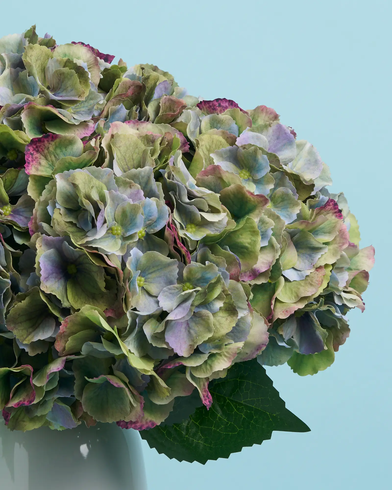 Unreal Green Hydrangea - Image 4