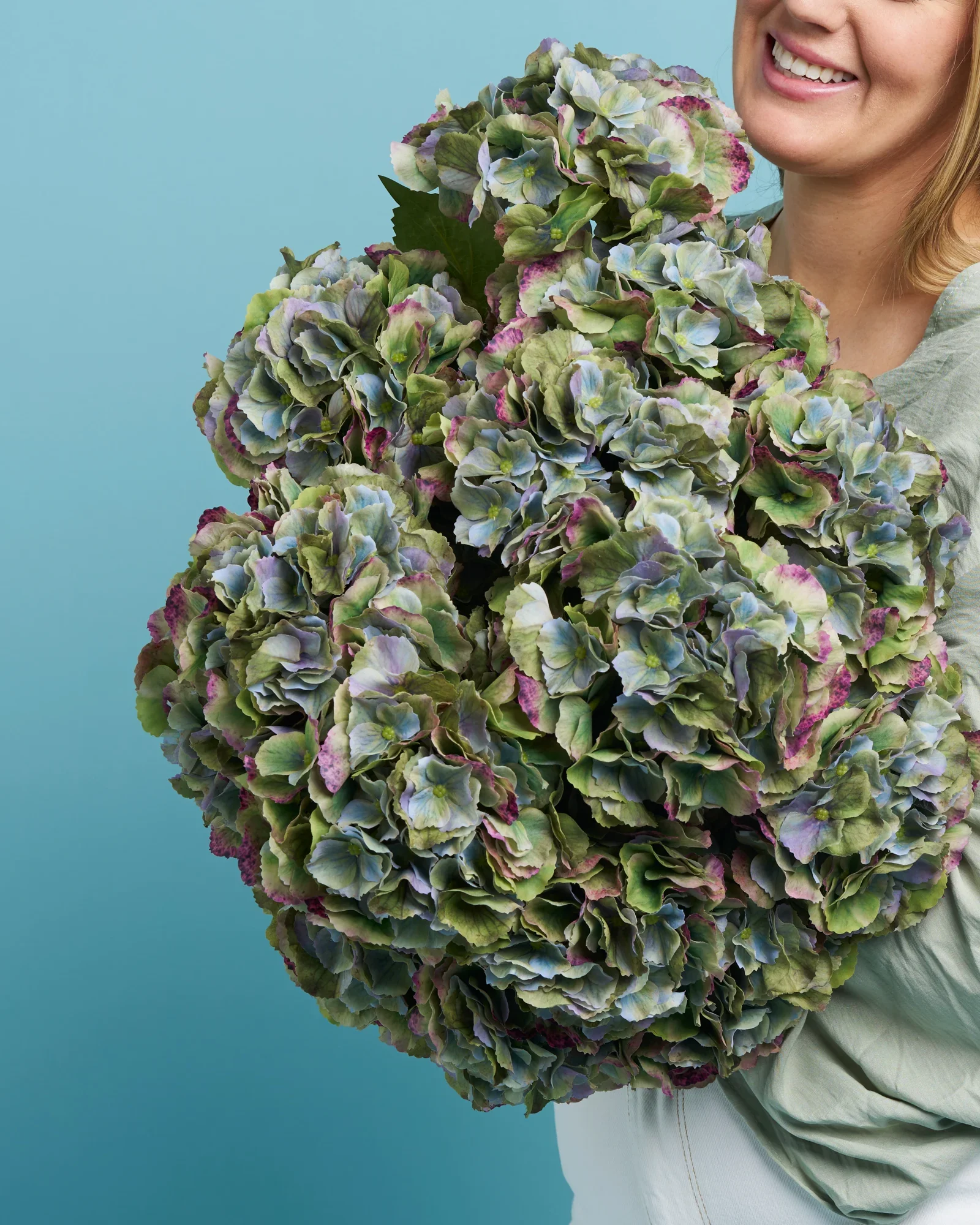 Unreal Green Hydrangea - Image 5