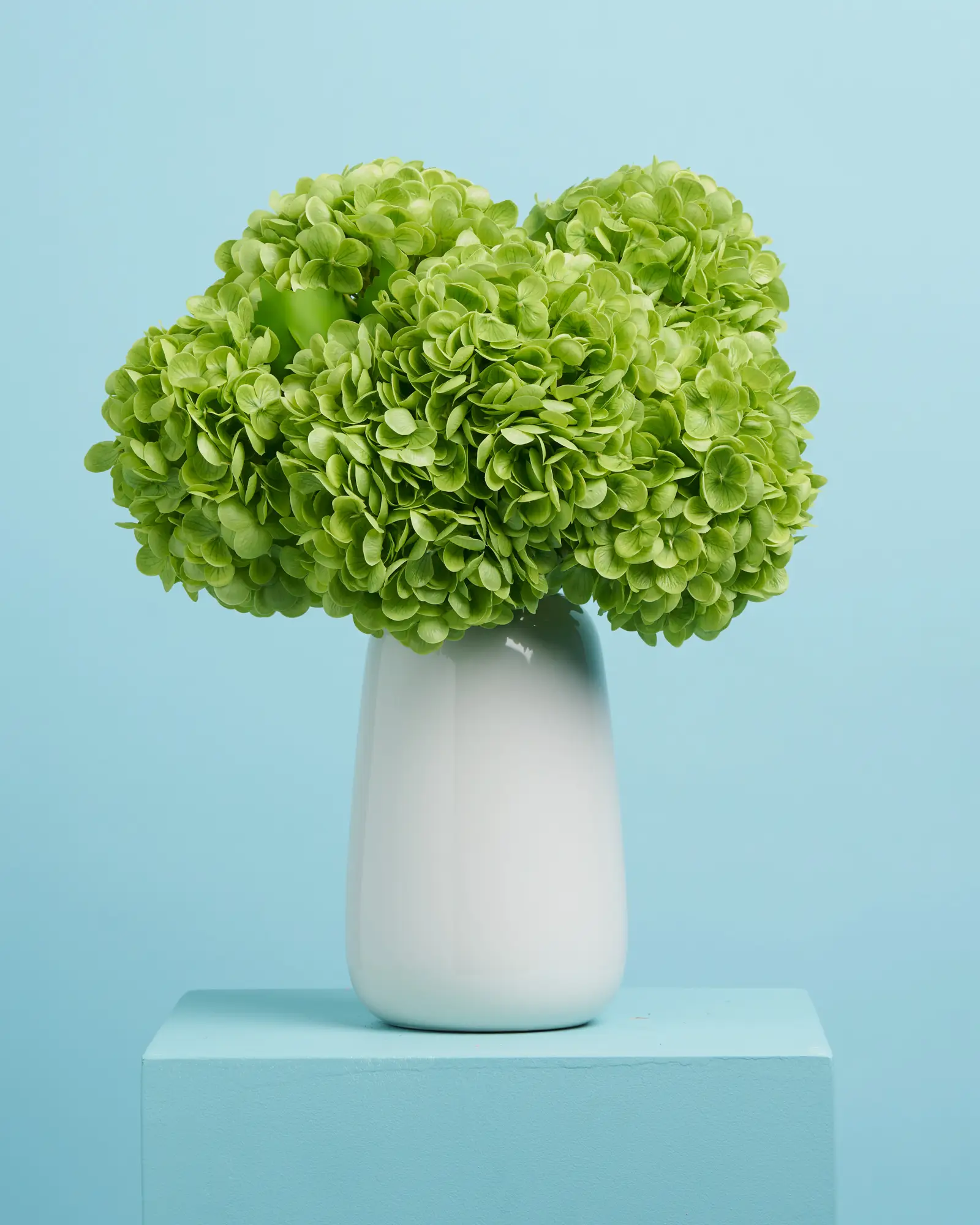 Unreal Green Hydrangea - Image 6